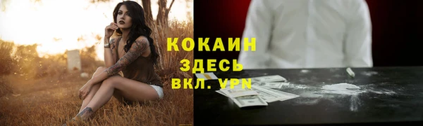 шишки Бугульма