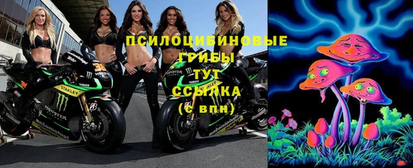 шишки Бугульма