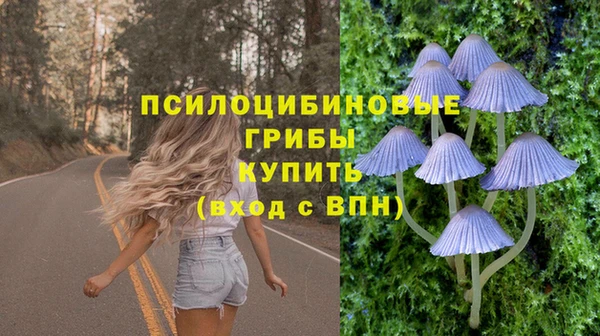 шишки Бугульма