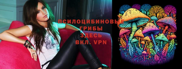 шишки Бугульма